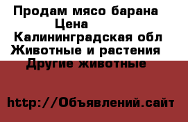 Продам мясо барана › Цена ­ 300 - Калининградская обл. Животные и растения » Другие животные   
